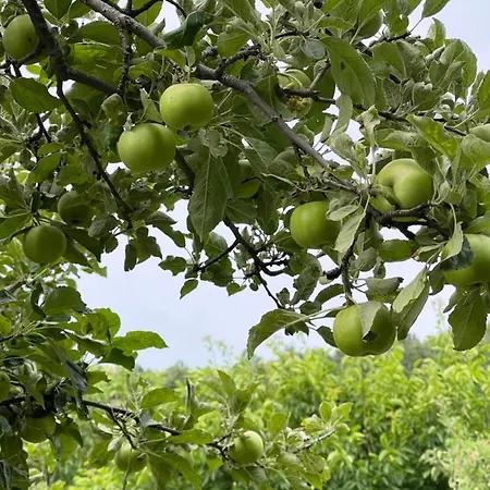 דירה Vikendica Vrba