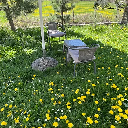 Apartment Vikendica Vrba *